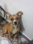Susie