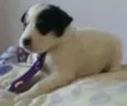 bebes lili