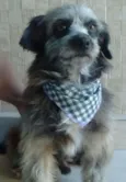 Dudu