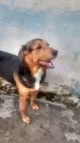 Belinha