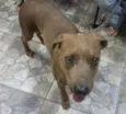 Fred