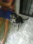 Bobby
