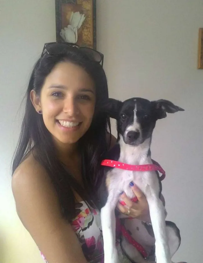 Cachorro ra a Vira Lata idade 7 a 11 meses nome meg
