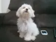 Fred