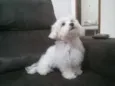 Fred