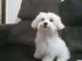 Fred