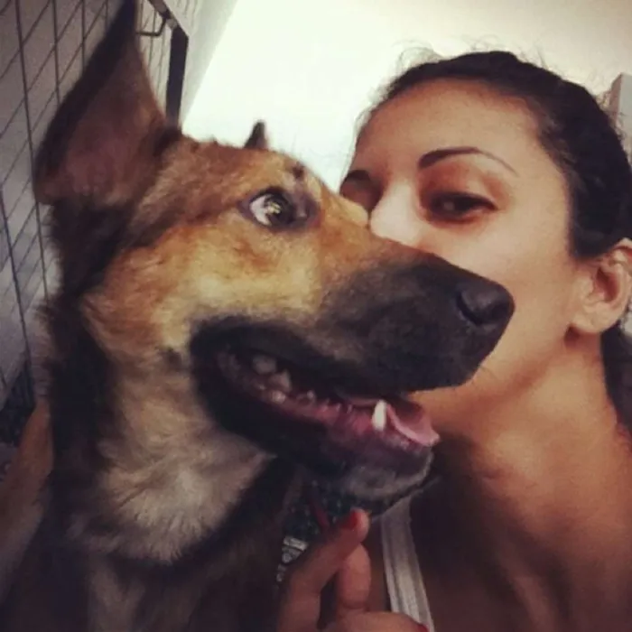 Cachorro ra a SRD idade 3 anos nome Lion