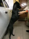 Não sei