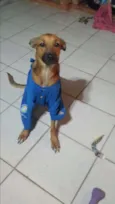 Mel