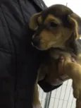 Fiona 