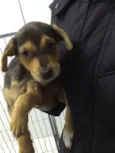 Fiona 