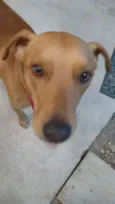 Spike