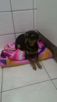 Milly