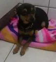 Milly
