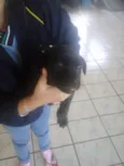 pretinha e pretinho