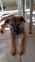 Não tem