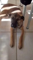 Não tem