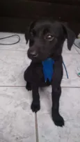 Nina