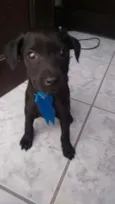 Nina