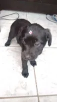 Nina