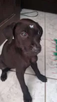 Nina