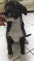 Princesa
