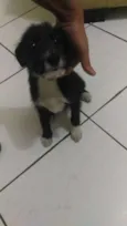 Princesa