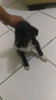 Princesa