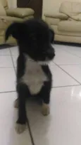 Princesa