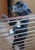 Mel
