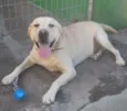 Marley