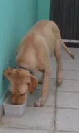 Marley