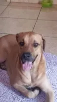 SCOOBY 