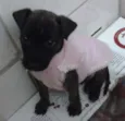 Lola