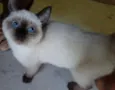 Nina