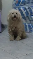 puhl