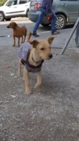 TEKA