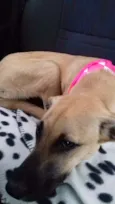 Frida