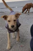 TEKA