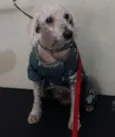 puhl