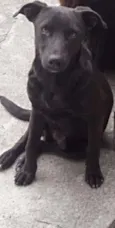 Bernardo
