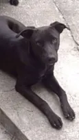 Bernardo