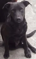 Bernardo