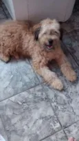 Boby