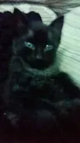Piper e Soso 