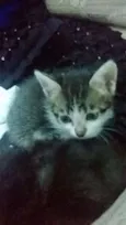 Piper e Soso