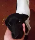 Nina