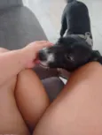 Pretinha