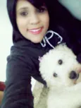 Pingo