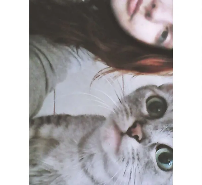 Gato ra a vira lata idade 6 ou mais anos nome Flor